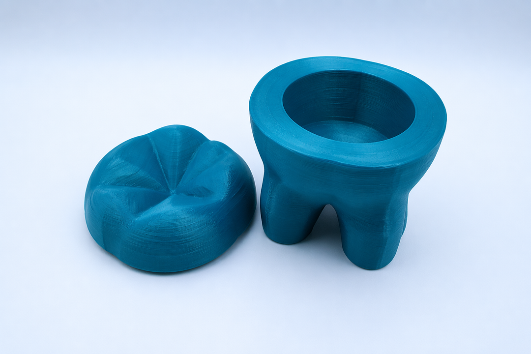 🦷 Zahn-Box mit Deckel – Originelle 3D Aufbewahrung