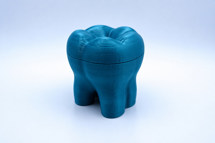 🦷 Zahn-Box mit Deckel – Originelle 3D Aufbewahrung