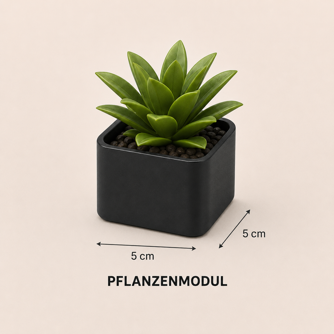 Pflanzenmodul Schwarz