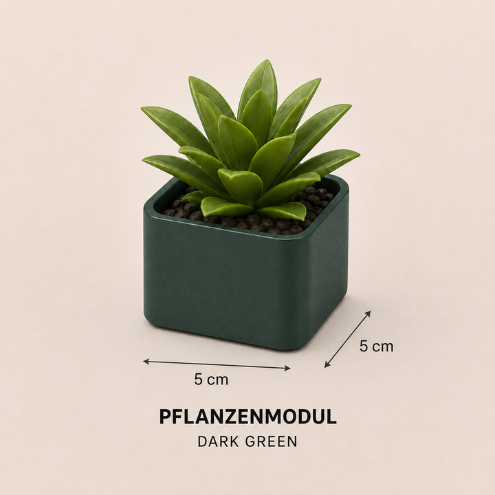 Pflanzenmodul – Dekorativer Sukkulenten-Übertopf