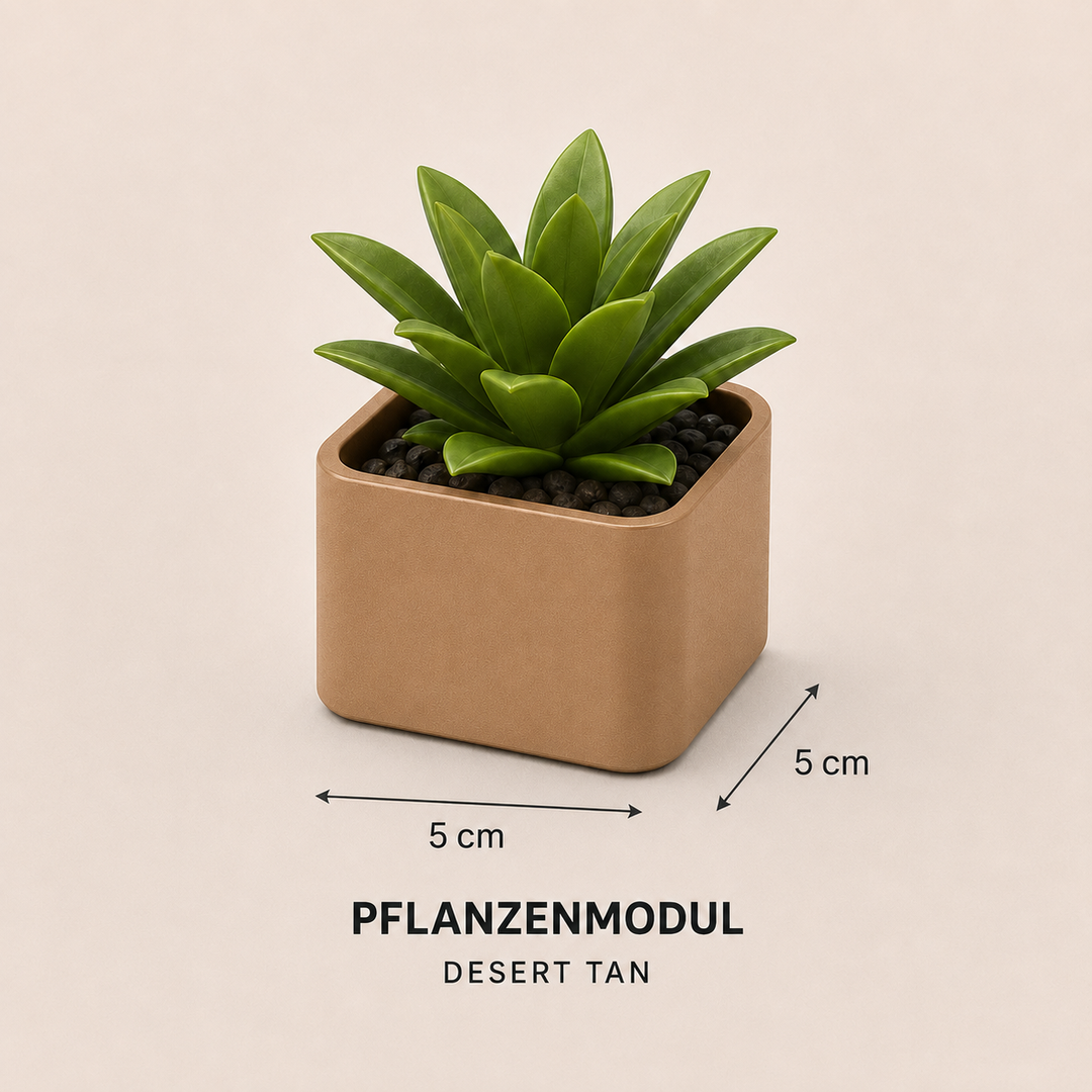 Pflanzenmodul – Dekorativer Sukkulenten-Übertopf
